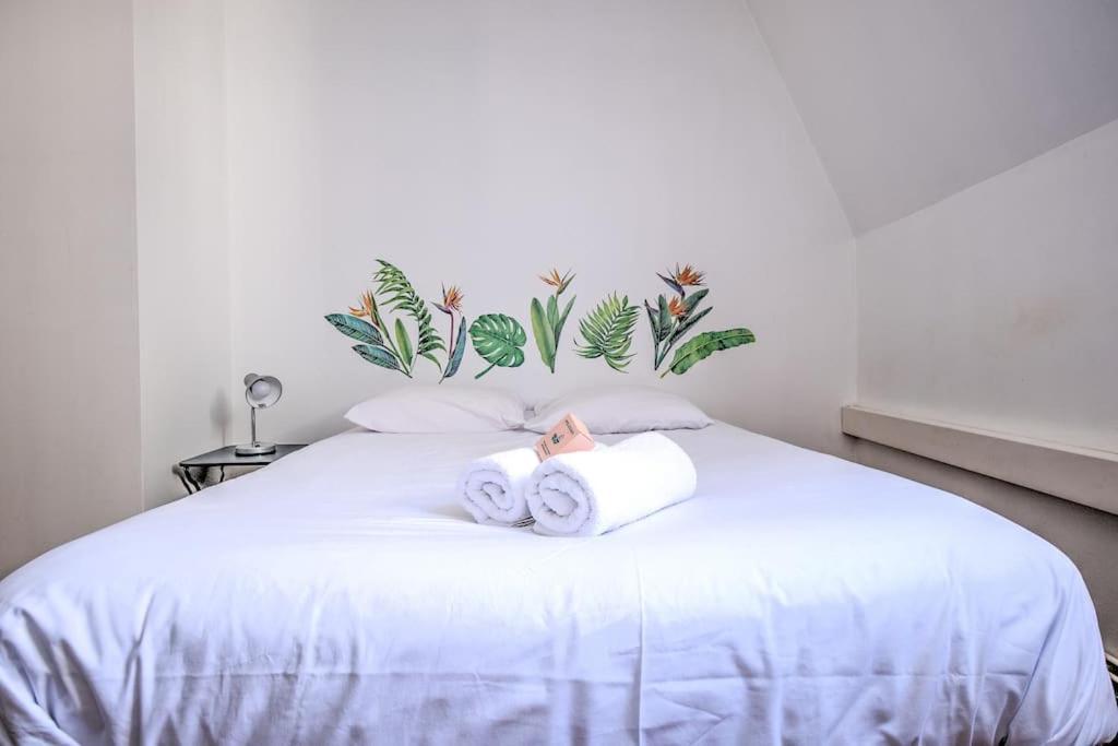 Le Jardin Suspendu Charme & Calme En Centre Ville Périgueux Εξωτερικό φωτογραφία
